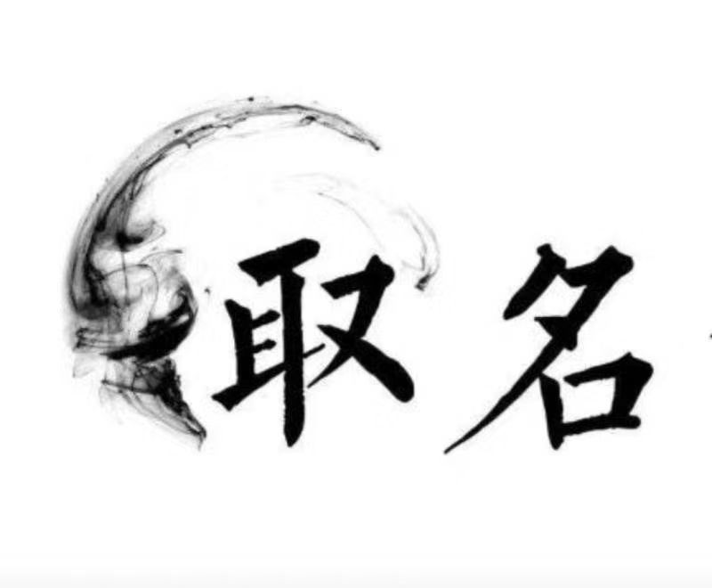  田东宝宝取名 大师一对一人工起名